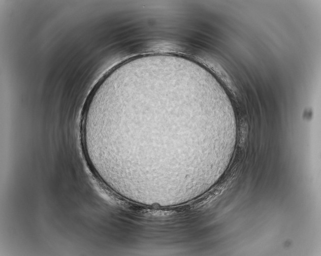 X0000099231039200805221832