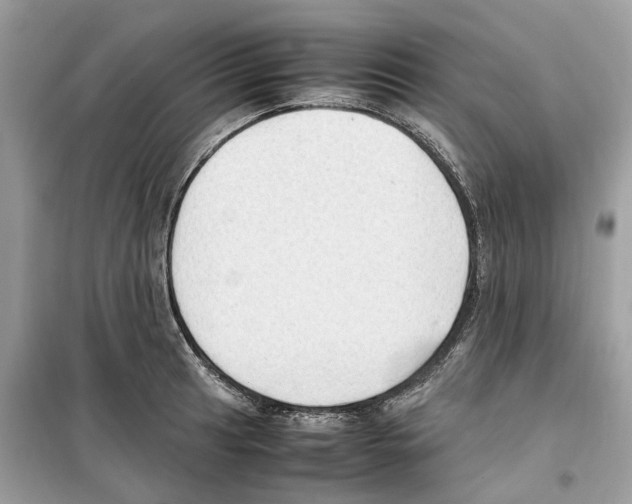 X0000099231041200805221832