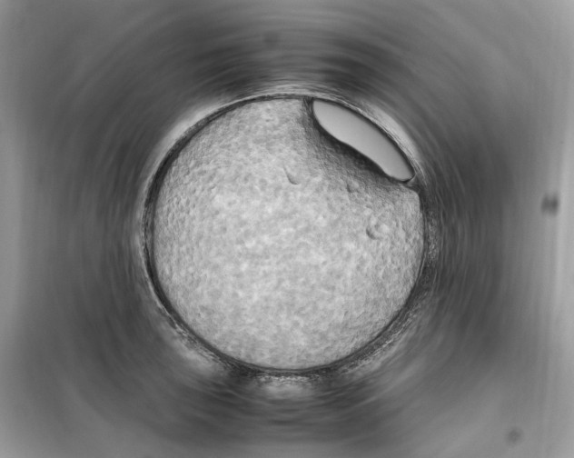 X0000099231043200805221832