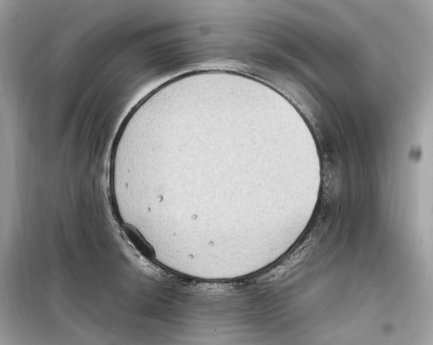 X0000099231044200805221832