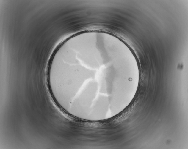 X0000099231045200805221832