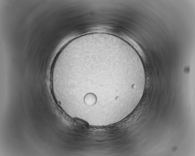 X0000099231051200805221832