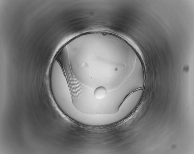 X0000099231053200805221832