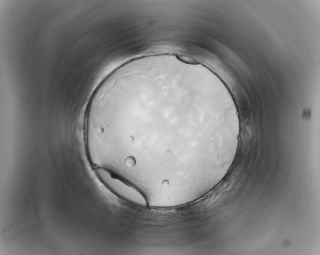 X0000099231055200805221832