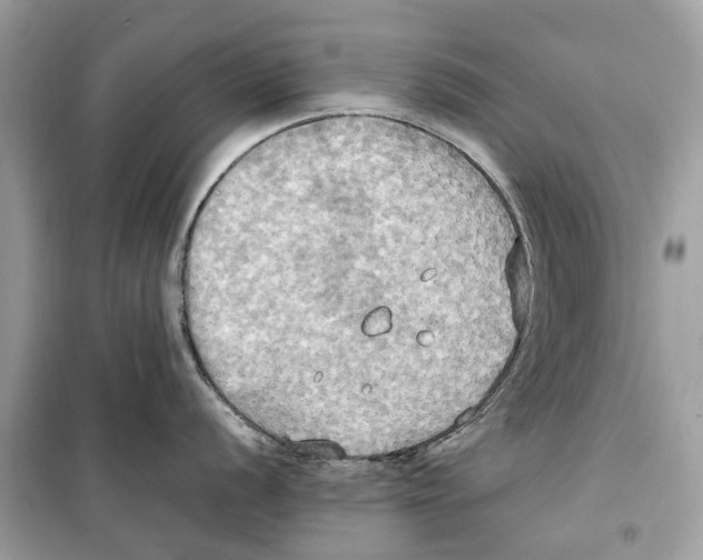 X0000099231056200805221832