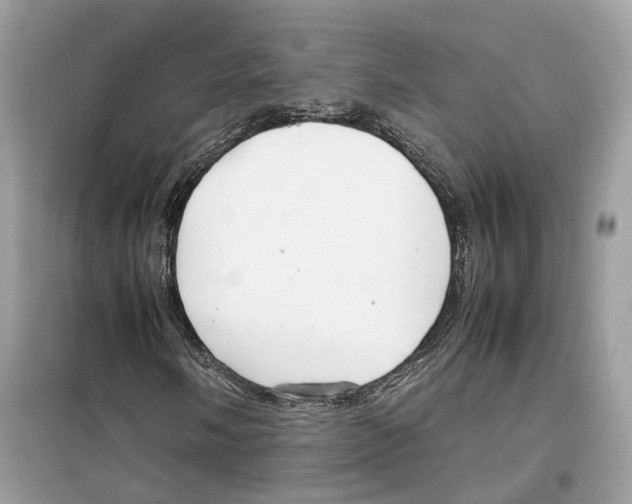 X0000099231058200805221831