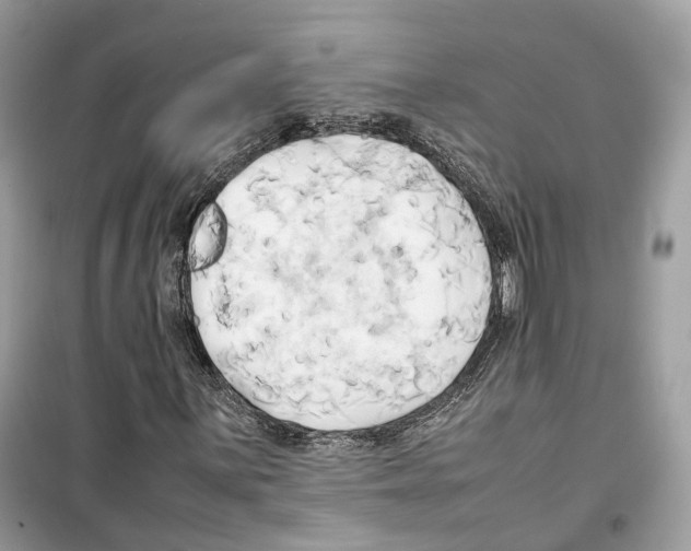 X0000099231059200805221831