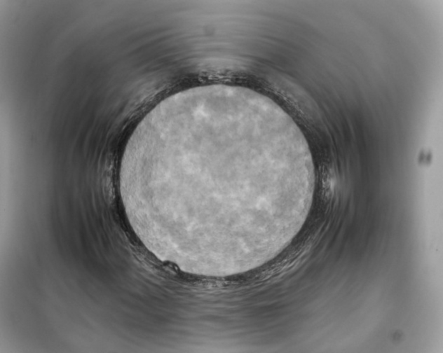 X0000099231060200805221831