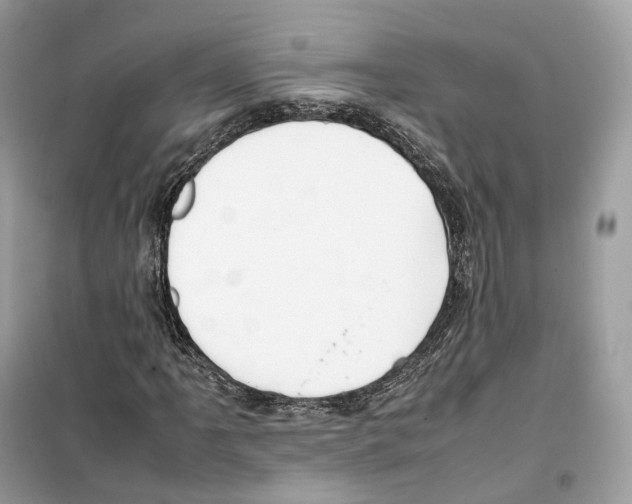 X0000099231061200805221831