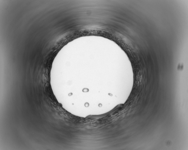 X0000099231062200805221831