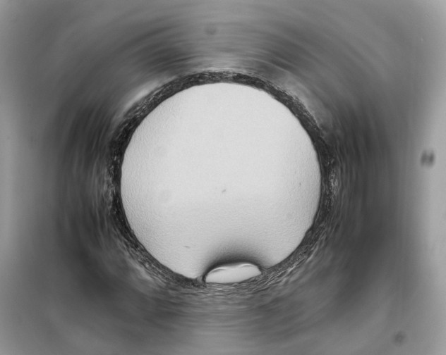 X0000099231064200805221831