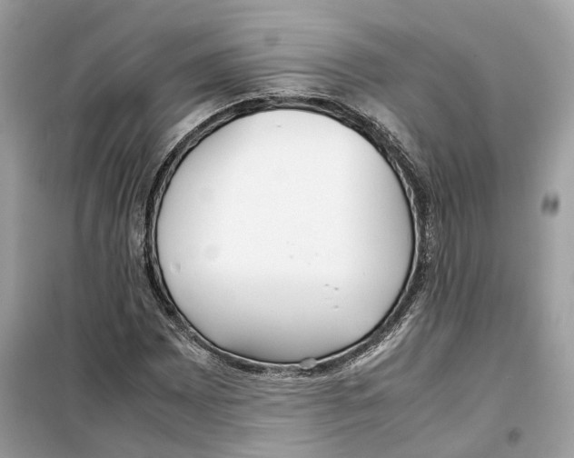 X0000099231065200805221831