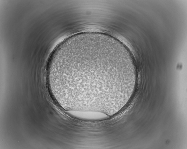 X0000099231067200805221831