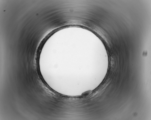 X0000099231068200805221831