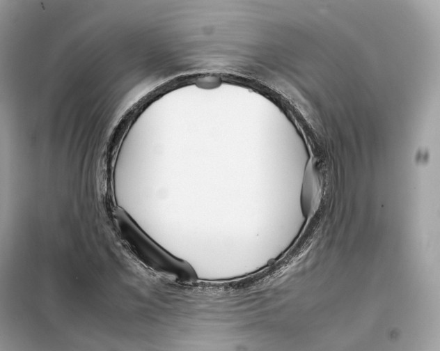 X0000099231069200805221831