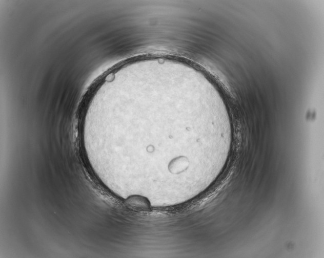 X0000099231070200805221831