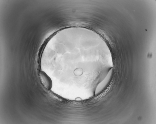 X0000099231071200805221831