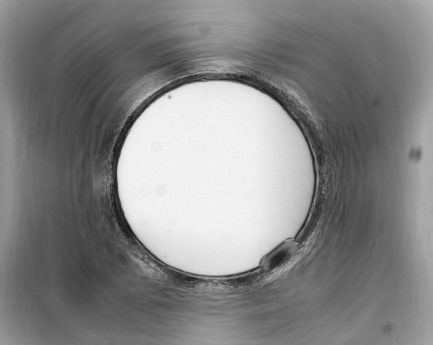 X0000099231073200805221831