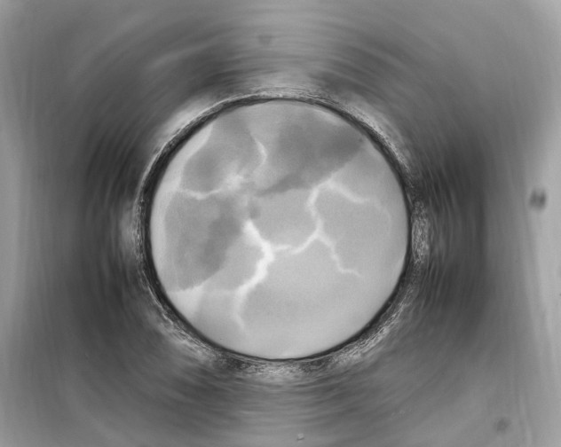 X0000099231074200805221831