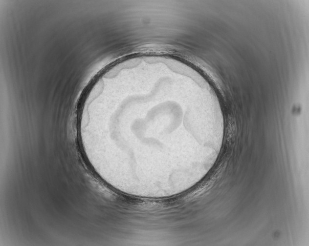 X0000099231075200805221831