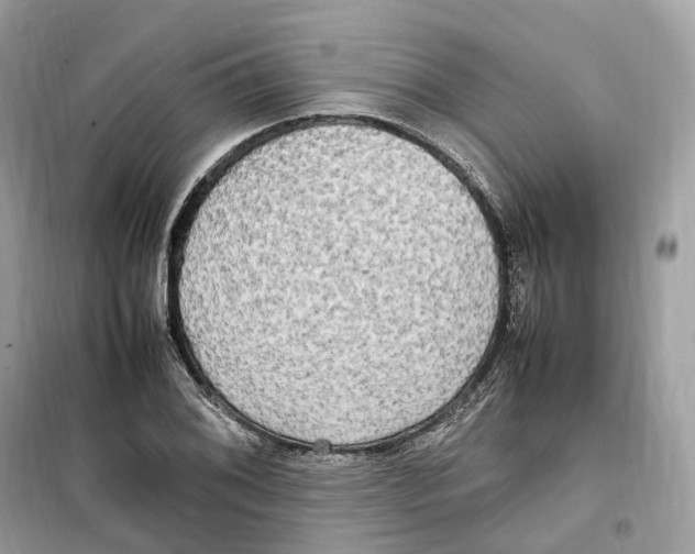 X0000099231076200805221831