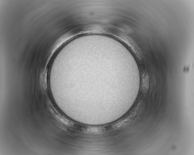 X0000099231078200805221831