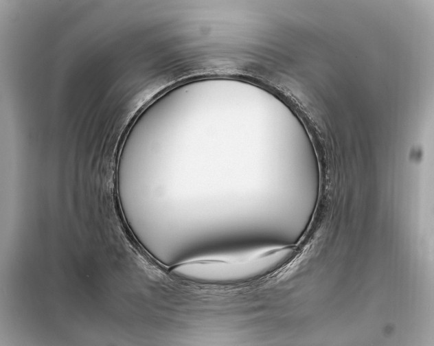 X0000099231081200805221831