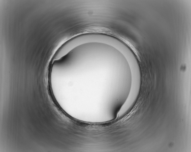 X0000099231083200805221831