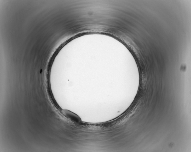 X0000099231085200805221831