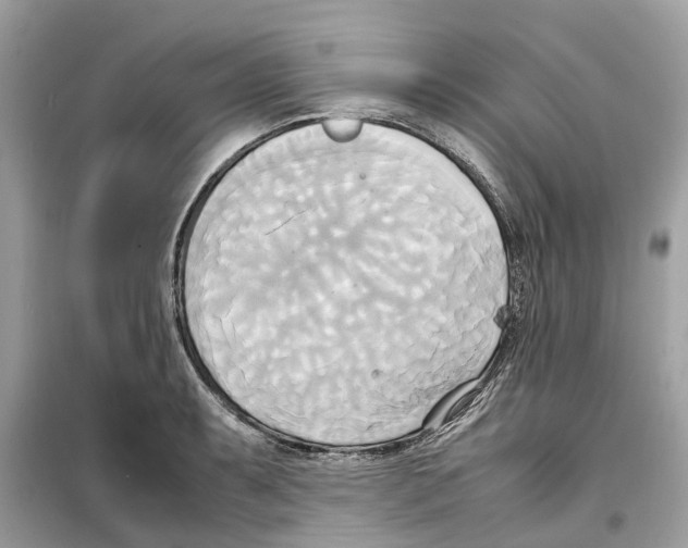 X0000099231087200805221831