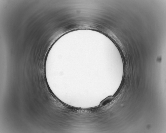 X0000099231089200805221831