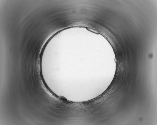 X0000099231092200805221831