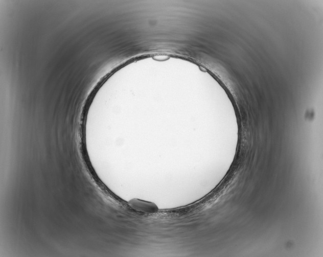 X0000099231093200805221830