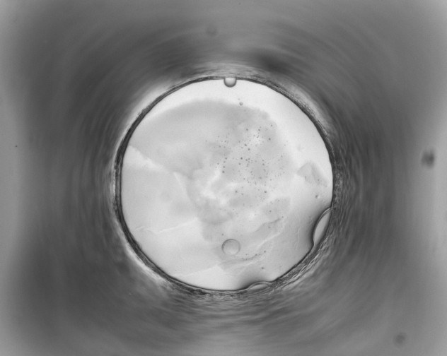 X0000099231095200805221830