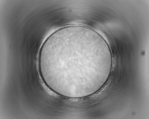 X0000099231098200805221830