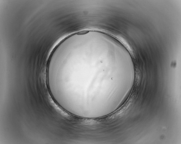 X0000099231100200805221830