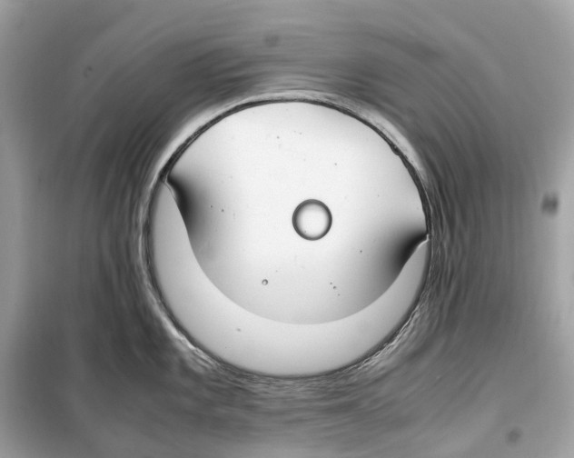 X0000099231101200805221830