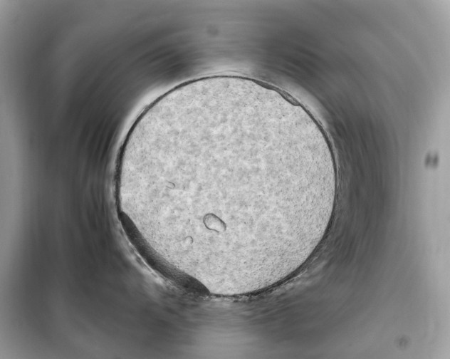 X0000099231104200805221830