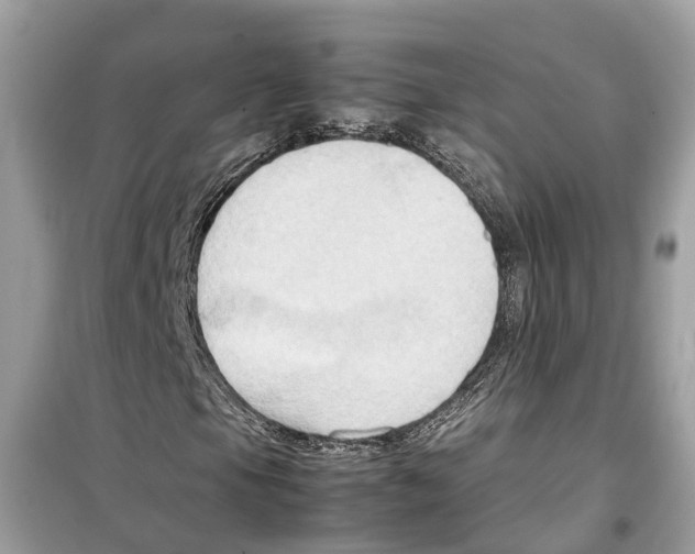 X0000099231105200805221830