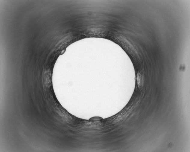 X0000099231107200805221830