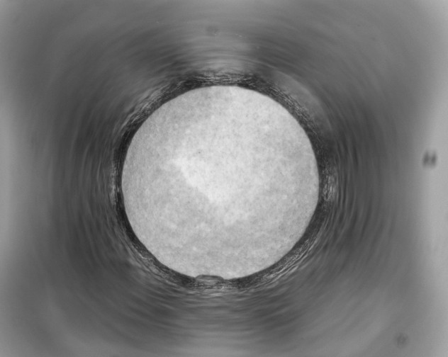 X0000099231108200805221830