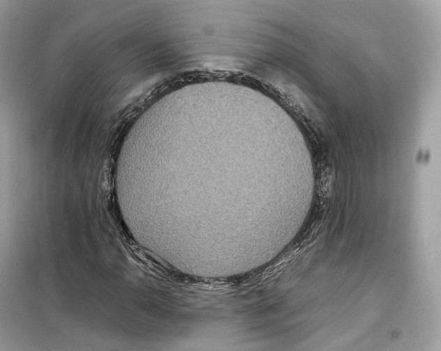 X0000099231110200805221830