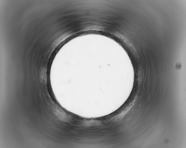 X0000099231113200805221830