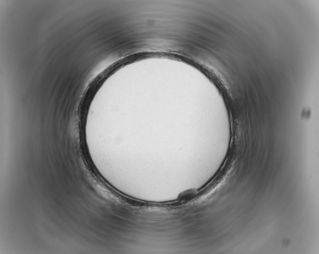 X0000099231114200805221830