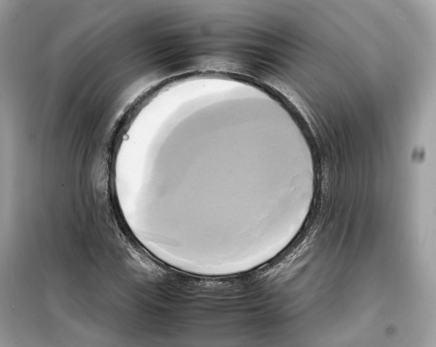 X0000099231115200805221830