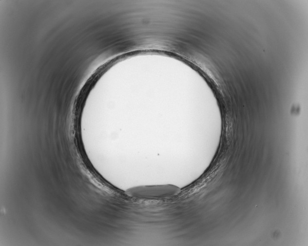 X0000099231116200805221830