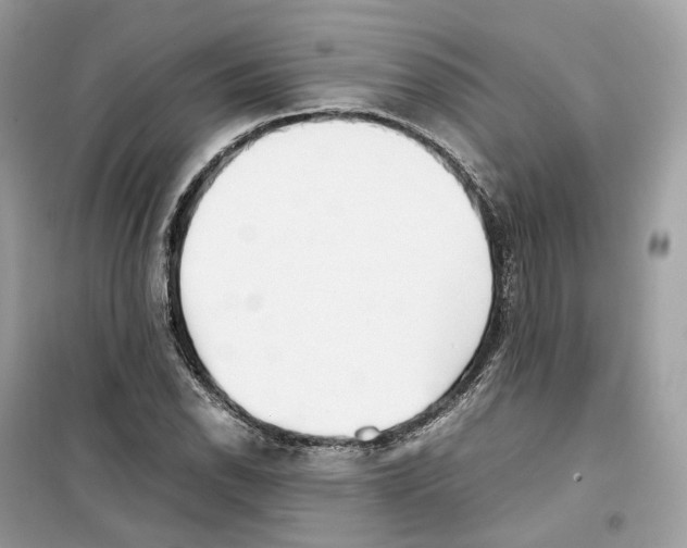 X0000099231118200805221830