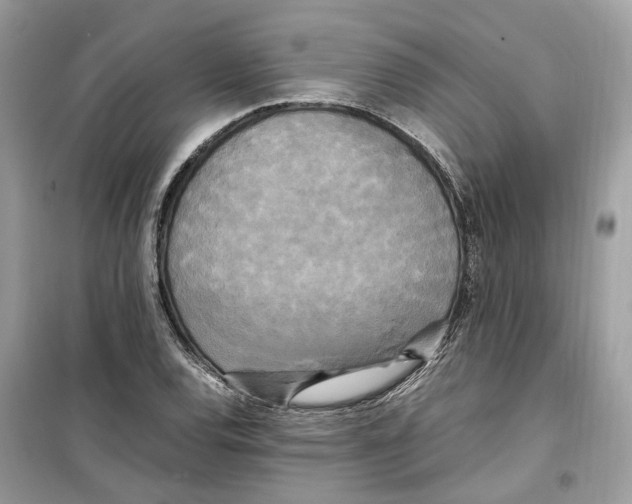 X0000099231120200805221830