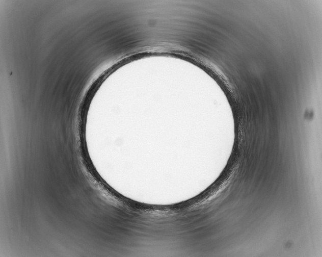 X0000099231122200805221830