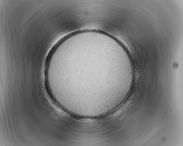 X0000099231124200805221830